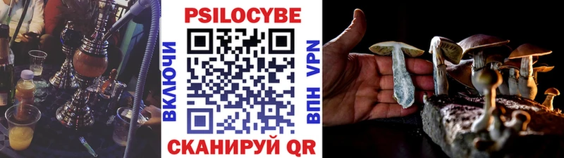 Псилоцибиновые грибы GOLDEN TEACHER  Купить закладки  Белозерск 